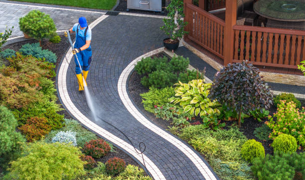 Best Power Washing Near Me  in Carterville, MO